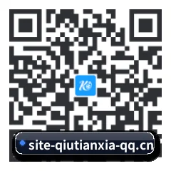 APP 安卓 二维码